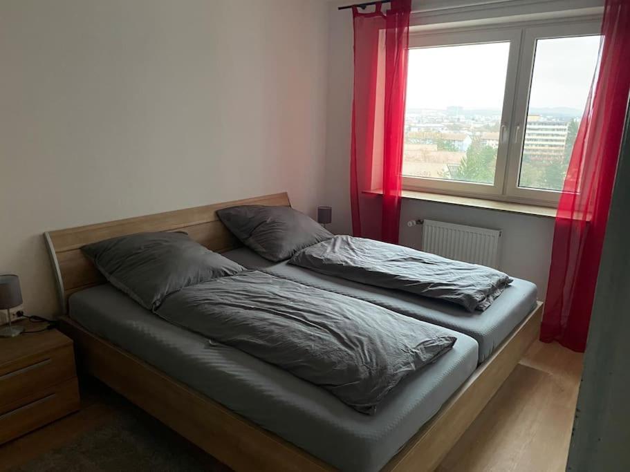 Helle 2-Zimmer Wohnung, Nicht Mehr Verfuegbar 埃朗根 外观 照片